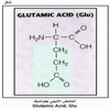 ������ ������� �������� Glutamic Acid, Glu