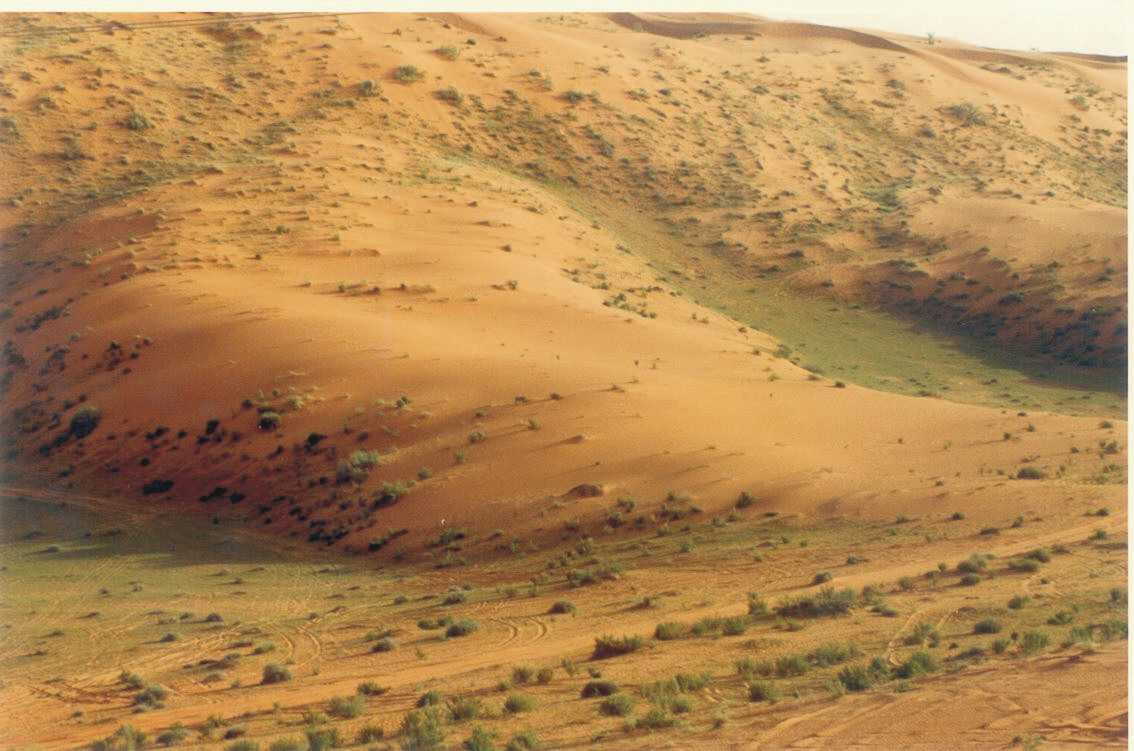 ������ ����� ��� ������