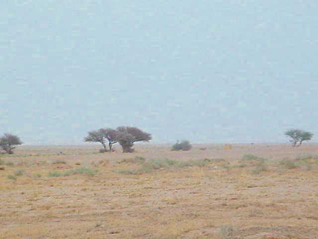 ������ ������� ������ �� �������